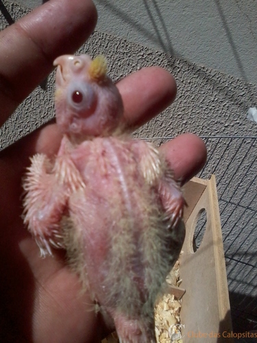 2016-06-05 11.40.30.jpg