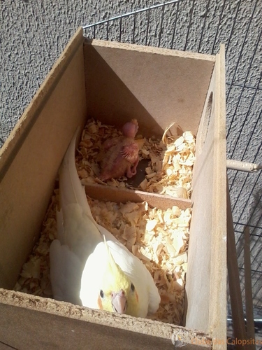 2016-06-05 11.34.42.jpg