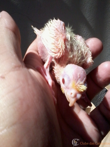 2016-06-06 10.40.37.jpg