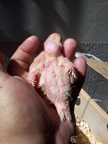 2016-06-06 10.40.51.jpg