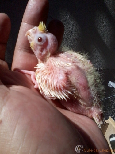 2016-06-06 10.40.58.jpg