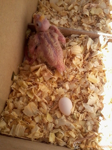 2016-06-06 10.39.23.jpg