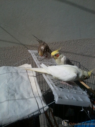 2016-06-05 11.49.00.jpg