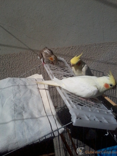 2016-06-05 11.49.07.jpg