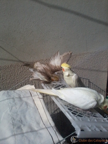 2016-06-05 11.49.18.jpg