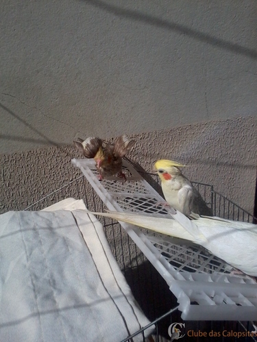 2016-06-05 11.49.20.jpg