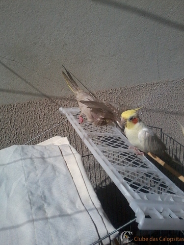 2016-06-05 11.49.22.jpg