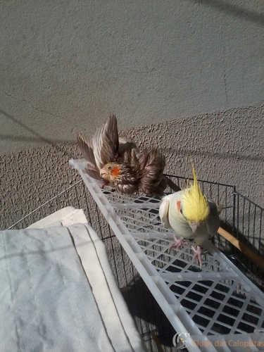 2016-06-05 11.49.31.jpg