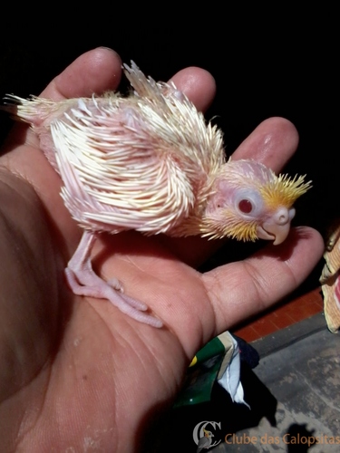 2016-06-09 10.41.00.jpg