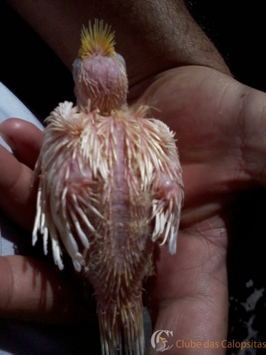 2016-06-09 10.41.49.jpg