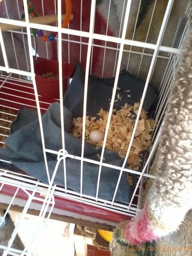 2016-06-09 10.40.05.jpg