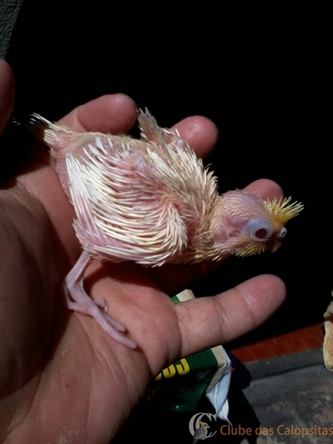 2016-06-09 10.41.08.jpg