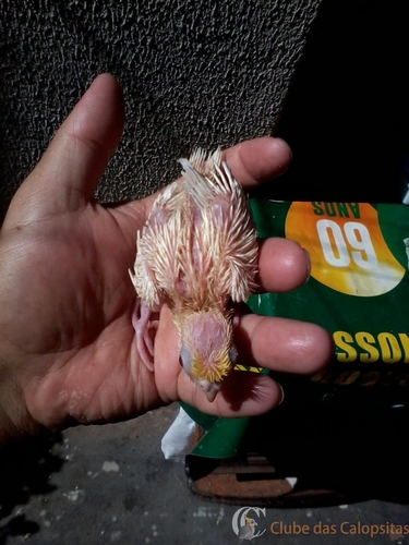 2016-06-09 10.41.15.jpg