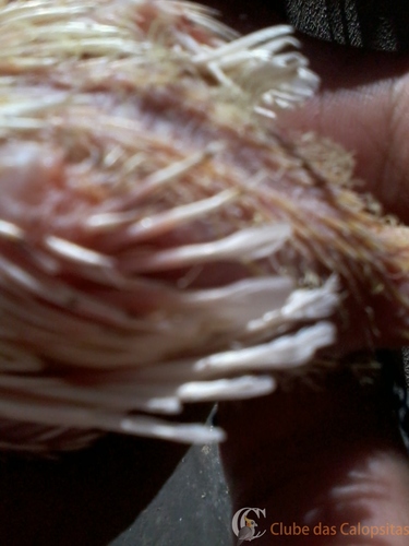 2016-06-09 10.41.43.jpg