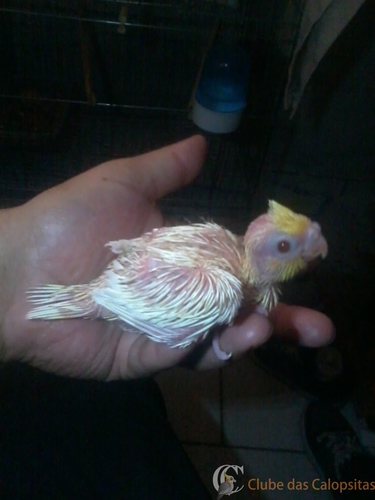 2016-06-10 16.29.50.jpg