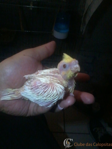 2016-06-10 16.29.54.jpg