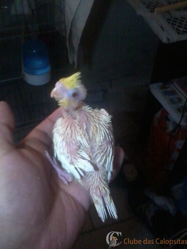 2016-06-10 16.30.04.jpg