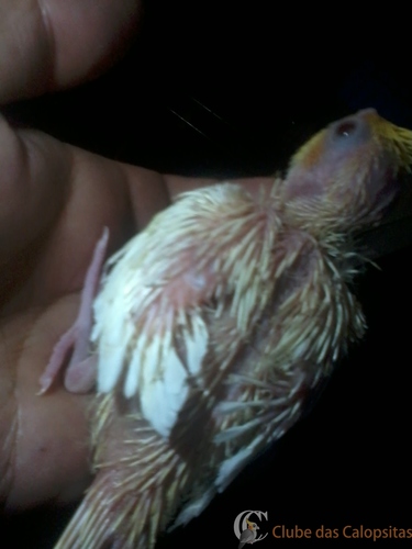 2016-06-10 16.30.16.jpg