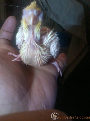 2016-06-10 16.31.14.jpg