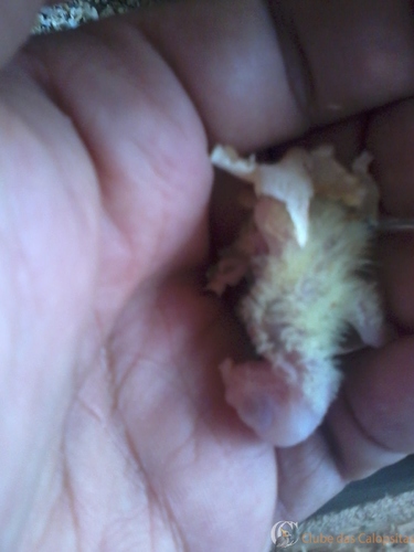 2016-05-22 16.24.17.jpg