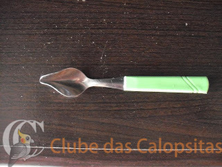 Colher para tratar de Calopsitas.JPG