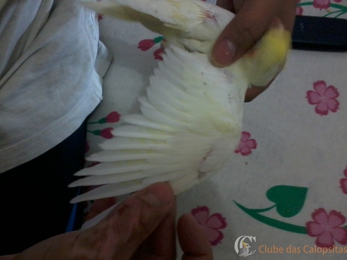 2016-06-20 17.34.32.jpg