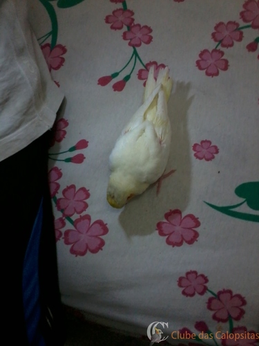 2016-06-20 17.34.56.jpg