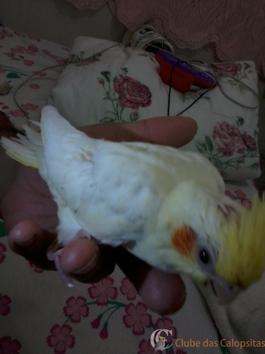 2016-06-20 17.35.20.jpg