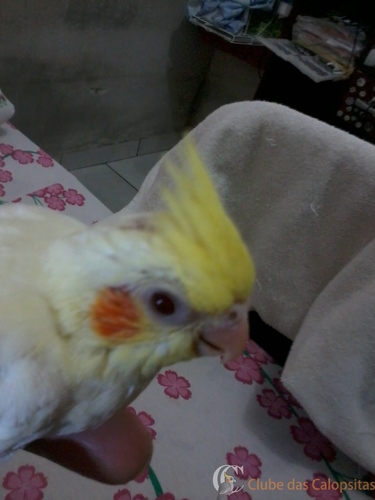 2016-06-20 17.35.28.jpg