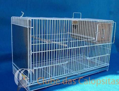 criadeira agapornis.JPG