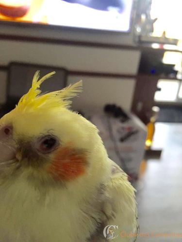 WhatsApp-Image-20160622 (2).jpg