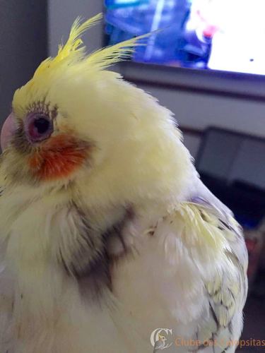 WhatsApp-Image-20160622 (1).jpg