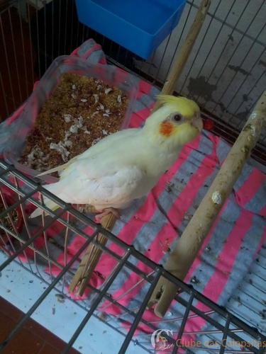 2016-06-22 11.47.23.jpg