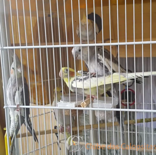 2016-06-22 13.02.27.png