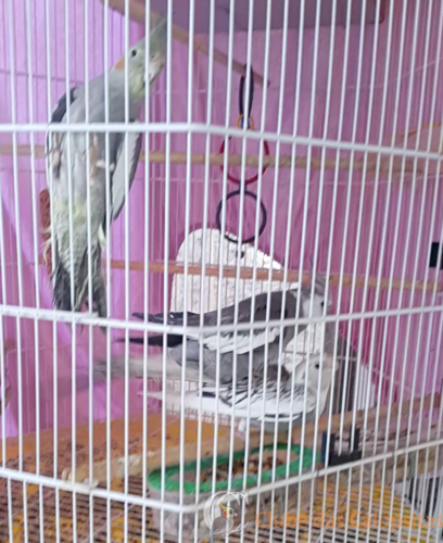 2016-06-22 13.01.26.png