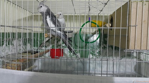 2016-06-25 19.23.39.jpg