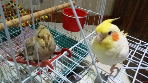 20160724_175515.jpg