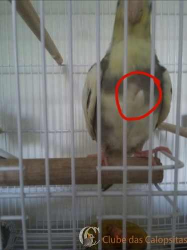 2016-07-03 11.25.24.jpg