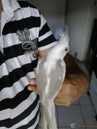 2016-07-17 10.34.51.jpg