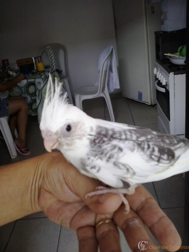 2016-07-17 10.35.31.jpg