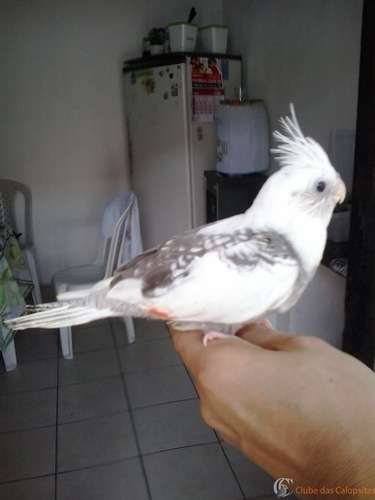 2016-07-17 10.36.12.jpg