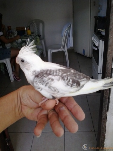 2016-07-17 10.36.20.jpg