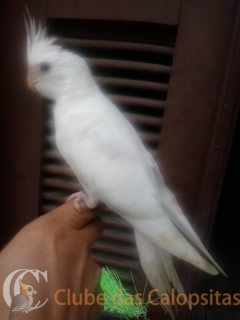 2015-02-20 09.30.19.jpg