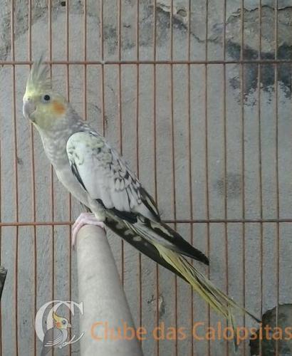 2016-06-13 11.51.13-1.jpg