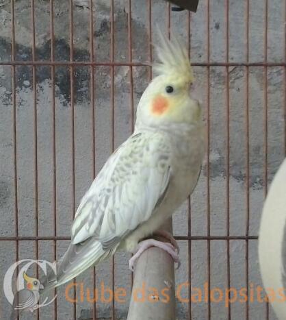 2016-06-13 11.51.27-1.jpg