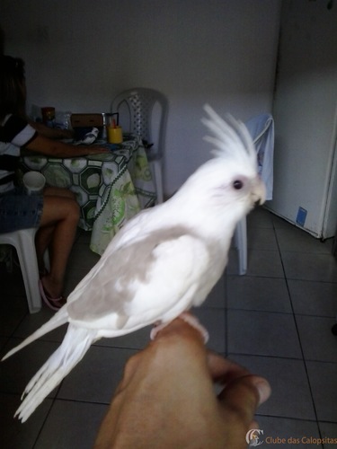 2016-07-17 10.34.33.jpg