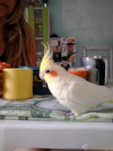 2016-07-10 09.01.29.jpg