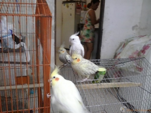 2016-07-04 17.25.29.jpg