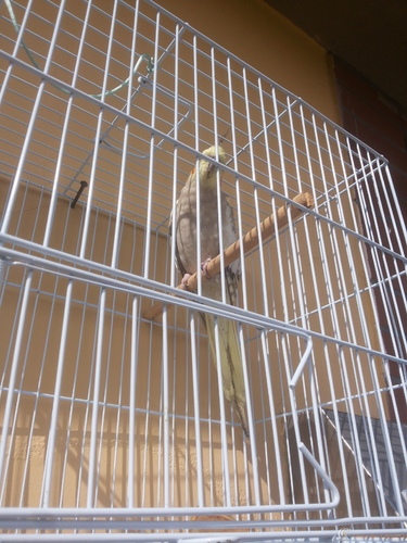 20160722_135940 (1).jpg