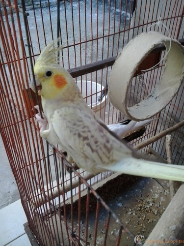 2016-07-26 15.26.30.jpg